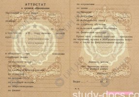 Аттестат 8 классов Аттестат 8 классов в Пензе